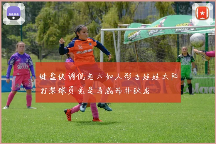 键盘侠调侃老六如人形吉娃娃太阳打架球员竟是马威而非狄龙