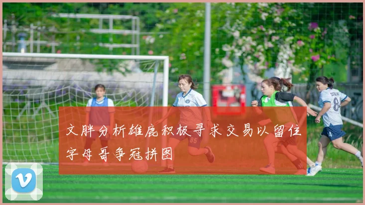 文胖分析雄鹿积极寻求交易以留住字母哥争冠拼图