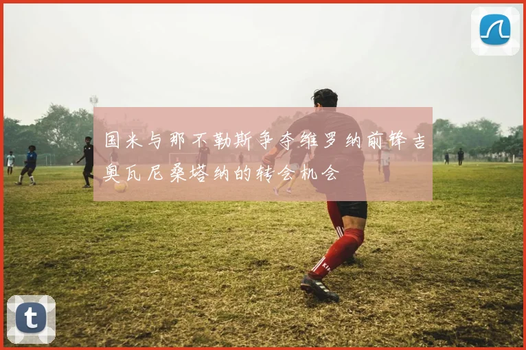 国米与那不勒斯争夺维罗纳前锋吉奥瓦尼桑塔纳的转会机会