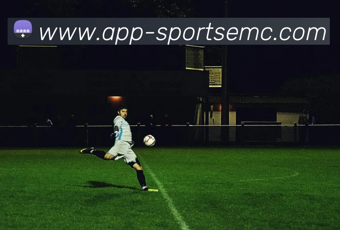 易倍体育发展历程